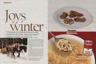 Better Homes & Gardens February 2006 Magazine Article: Page 106