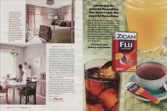 Better Homes & Gardens February 2006 Magazine Article: Page 138