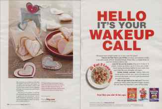 Better Homes & Gardens February 2006 Magazine Article: Page 148