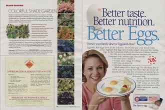 Better Homes & Gardens February 2006 Magazine Article: Page 174