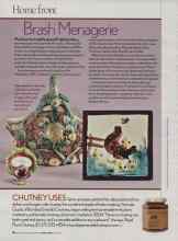 Better Homes & Gardens March 2006 Magazine Article: Brash Menagerie