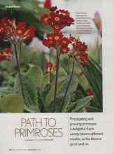 Better Homes & Gardens March 2006 Magazine Article: PATH TO PRIMROSES