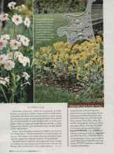 Better Homes & Gardens March 2006 Magazine Article: PRIMROSES FOR YOU