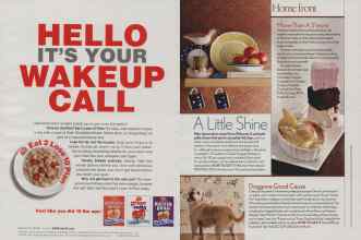 Better Homes & Gardens March 2006 Magazine Article: Page 87