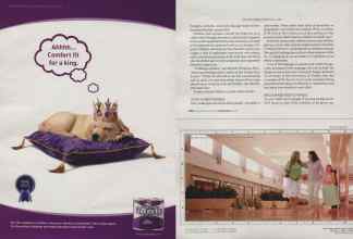 Better Homes & Gardens March 2006 Magazine Article: Page 141