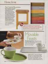 Better Homes & Gardens April 2006 Magazine Article: The Colorful Revolution