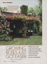 Better Homes & Gardens April 2006 Magazine Article: GROWING ROSES JUST GOT EASIER