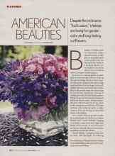 Better Homes & Gardens April 2006 Magazine Article: AMERICAN BEAUTIES