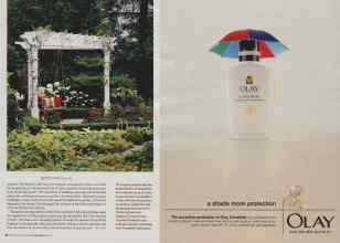 Better Homes & Gardens April 2006 Magazine Article: Page 42