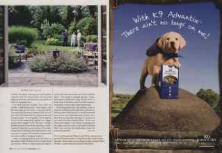 Better Homes & Gardens April 2006 Magazine Article: Page 44