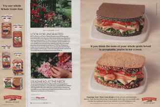 Better Homes & Gardens April 2006 Magazine Article: Page 114