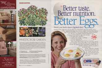 Better Homes & Gardens April 2006 Magazine Article: Page 116