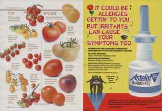 Better Homes & Gardens April 2006 Magazine Article: Page 126