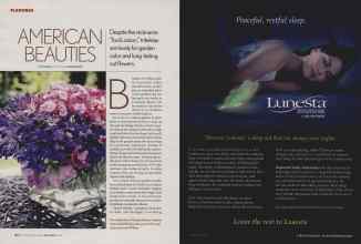 Better Homes & Gardens April 2006 Magazine Article: Page 132