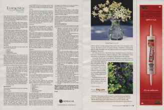 Better Homes & Gardens April 2006 Magazine Article: Page 134