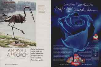 Better Homes & Gardens April 2006 Magazine Article: Page 142