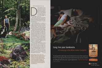 Better Homes & Gardens April 2006 Magazine Article: Page 144