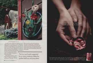 Better Homes & Gardens April 2006 Magazine Article: Page 146