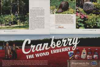 Better Homes & Gardens April 2006 Magazine Article: Page 148