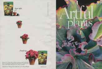 Better Homes & Gardens April 2006 Magazine Article: Page 198