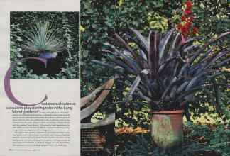 Better Homes & Gardens April 2006 Magazine Article: Page 200