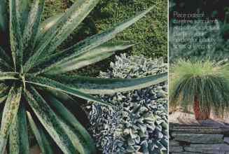 Better Homes & Gardens April 2006 Magazine Article: Page 202