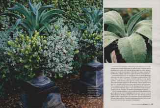 Better Homes & Gardens April 2006 Magazine Article: Page 204