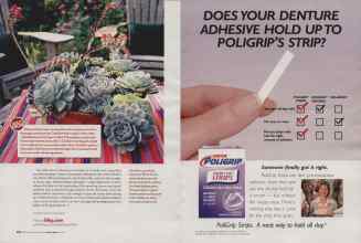 Better Homes & Gardens April 2006 Magazine Article: Page 206