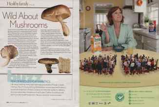 Better Homes & Gardens April 2006 Magazine Article: Page 268