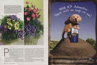 Better Homes & Gardens May 2006 Magazine Article: Page 94