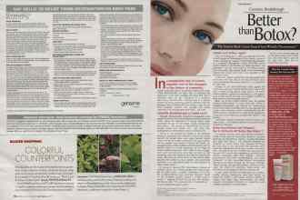 Better Homes & Gardens May 2006 Magazine Article: Page 114