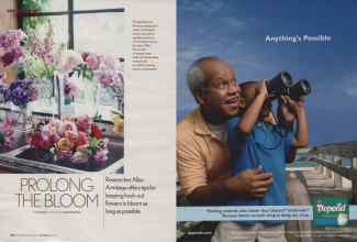 Better Homes & Gardens May 2006 Magazine Article: Page 116