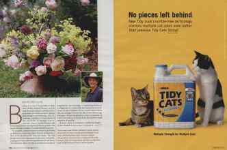 Better Homes & Gardens May 2006 Magazine Article: Page 118