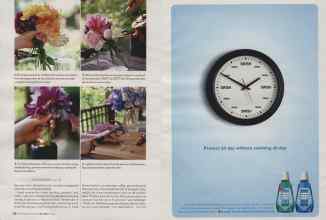 Better Homes & Gardens May 2006 Magazine Article: Page 120