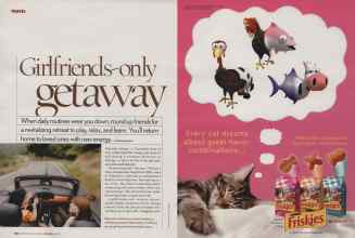 Better Homes & Gardens May 2006 Magazine Article: Page 166