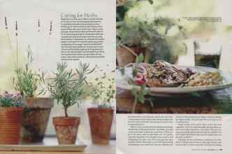 Better Homes & Gardens May 2006 Magazine Article: Page 198