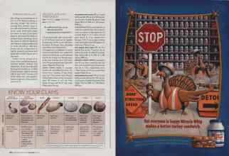 Better Homes & Gardens May 2006 Magazine Article: Page 214