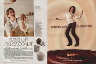 Better Homes & Gardens May 2006 Magazine Article: Page 218