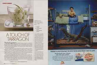 Better Homes & Gardens May 2006 Magazine Article: Page 232