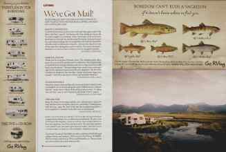 Better Homes & Gardens June 2006 Magazine Article: Page 18