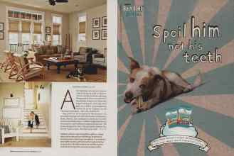 Better Homes & Gardens June 2006 Magazine Article: Page 54