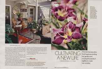 Better Homes & Gardens June 2006 Magazine Article: Page 97