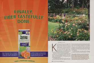 Better Homes & Gardens June 2006 Magazine Article: Page 99