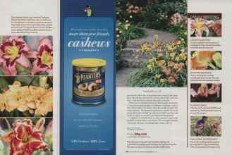 Better Homes & Gardens June 2006 Magazine Article: Page 105