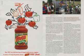 Better Homes & Gardens June 2006 Magazine Article: Page 171