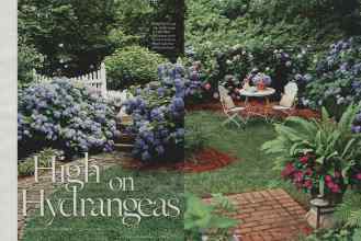 Better Homes & Gardens June 2006 Magazine Article: High on Hydrangeas
