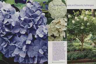 Better Homes & Gardens June 2006 Magazine Article: Page 207