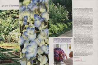 Better Homes & Gardens June 2006 Magazine Article: Page 209