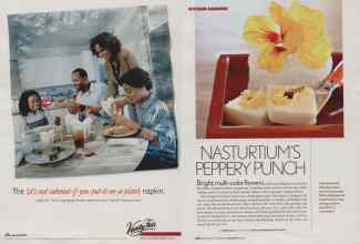 Better Homes & Gardens June 2006 Magazine Article: Page 247