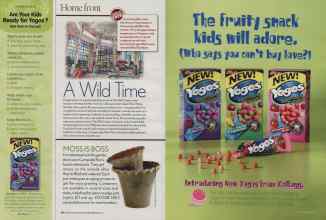 Better Homes & Gardens July 2006 Magazine Article: Page 84